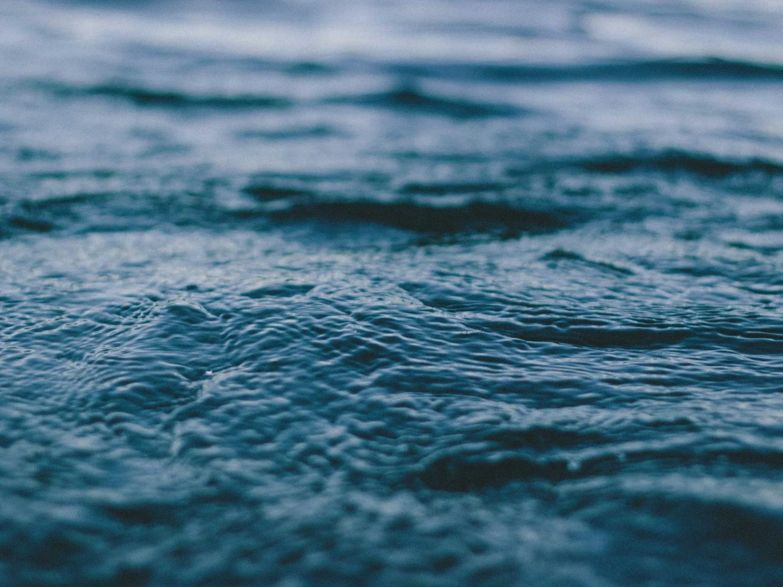 Lagoon
